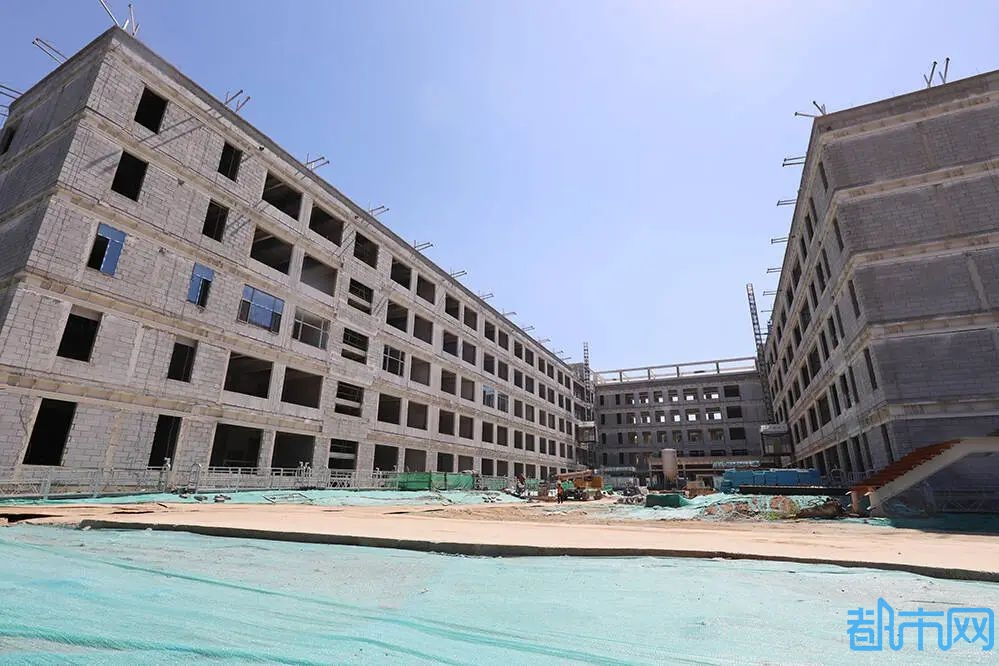 05.jpg