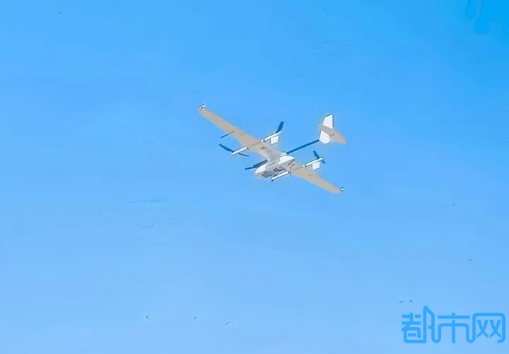 06.jpg