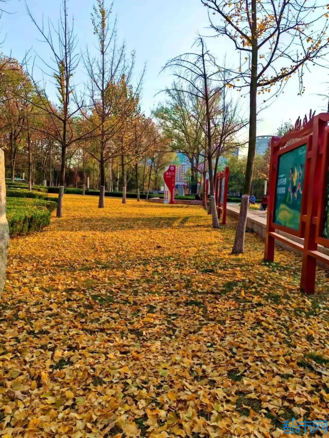 05.jpg