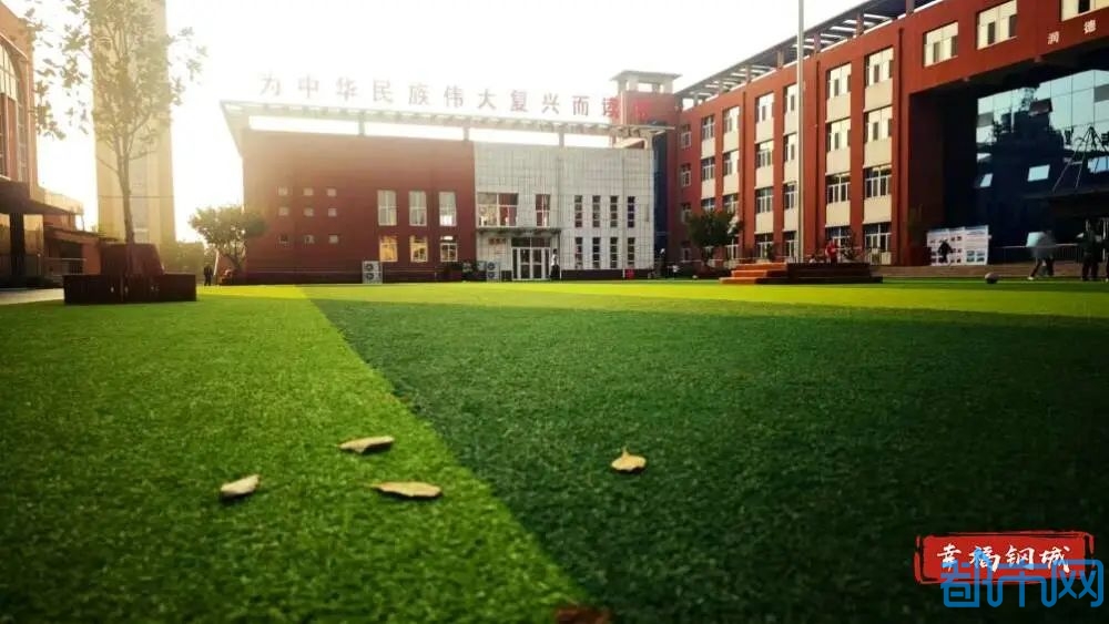 03.jpg