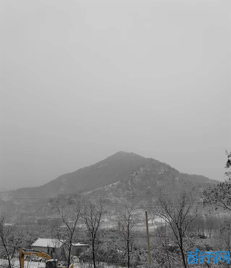 05.jpg