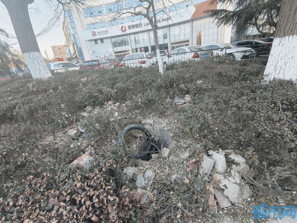 20250224081304front2_0_59983_Fln0LmkrYY9--D6btaN1BEgakoPK.jpg
