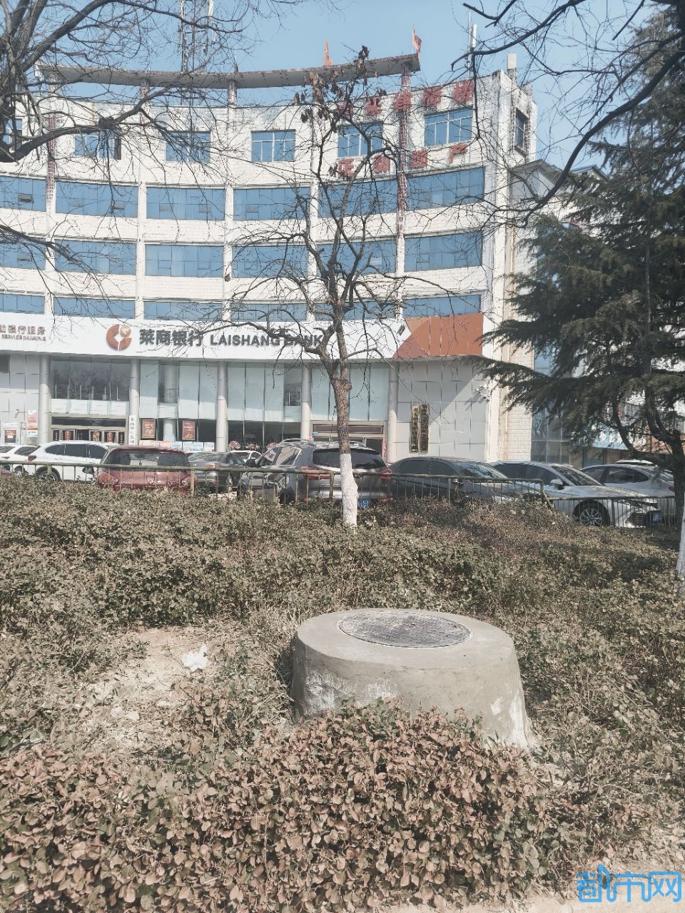 20250227125517front2_0_59983_FrU0AJS8JM_TZZD41iSd1rUOrUJY.jpg